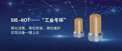 賽意信息攜工業(yè)互聯(lián)網(wǎng)示范線亮相工業(yè)互聯(lián)網(wǎng)峰會，以數(shù)字化力量助推中國智造升級轉型